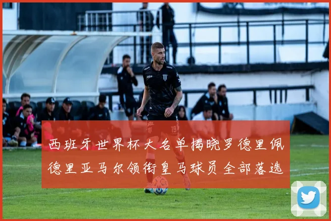 西班牙世界杯大名单揭晓罗德里佩德里亚马尔领衔皇马球员全部落选